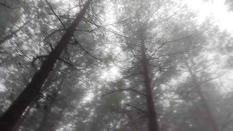 What an amazing sight, loking cool