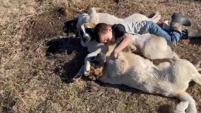 4-8-2022 - Does the hive thrive?