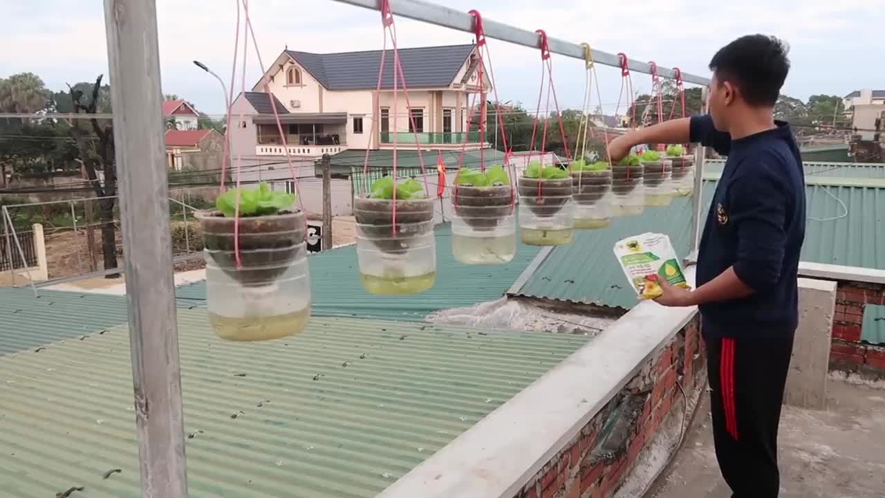 Hanging Vegetable Garden, Recycled plastic bottles