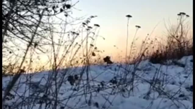 Ukrainian soldiers attack Russia tank