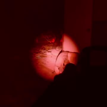 Halloween Raid BEETLEJUICE Arrest | Ready or Not Funny Moments #shorts #ReadyorNot