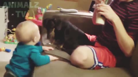 Cute baby and dog love