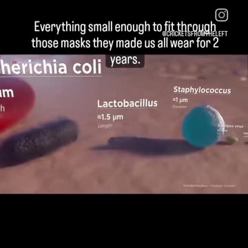 Everything small enough to fit through those masks they made us all wear for 2 Sa Montoya years