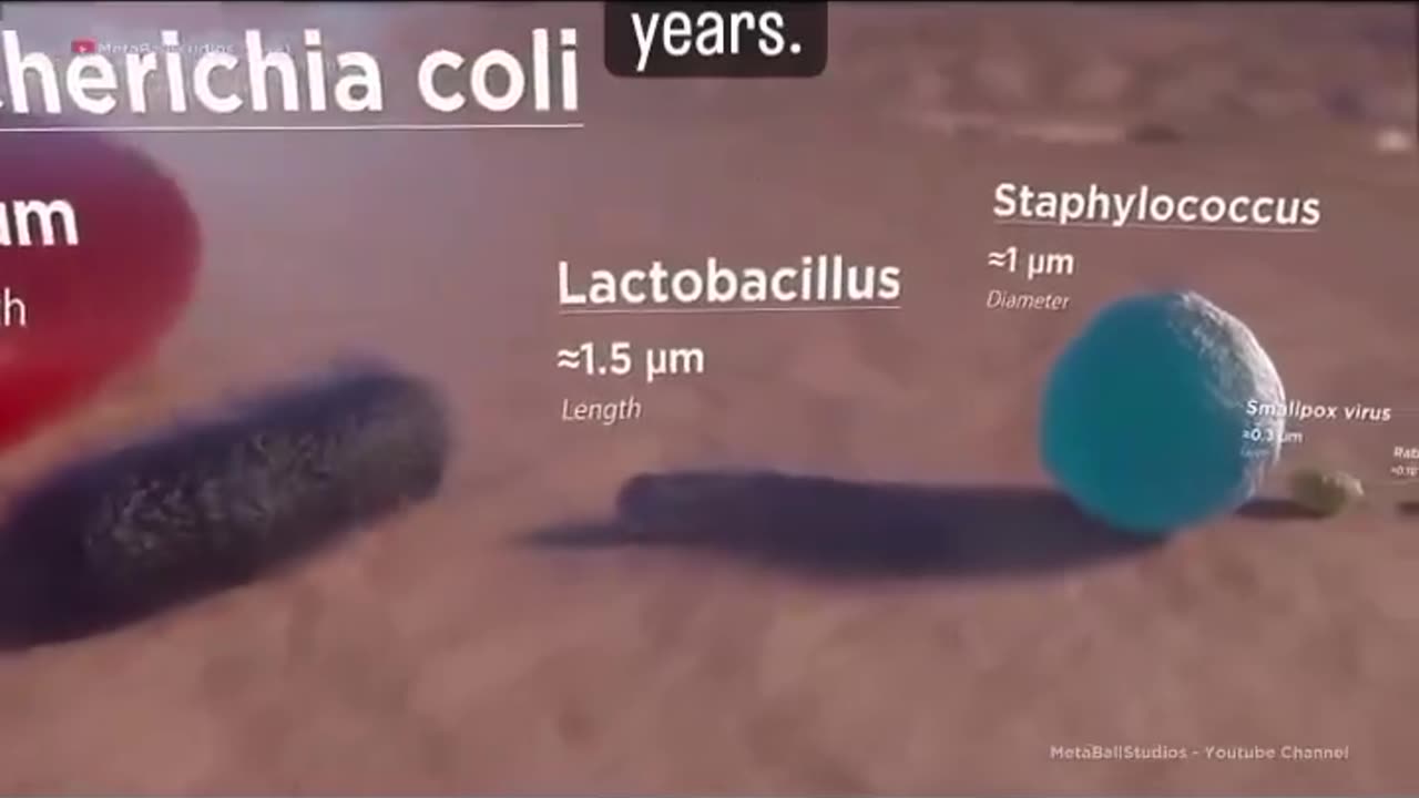 Everything small enough to fit through those masks they made us all wear for 2 Sa Montoya years