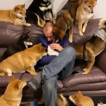 Meeting the newest member of the family.. 😅