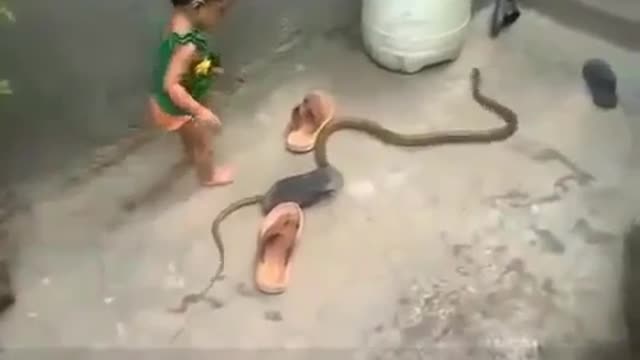 Fearless child👨 playing with snake🐍