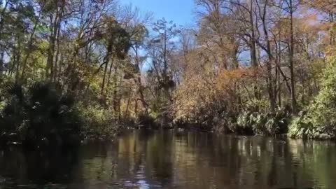 Launched the drone from the boat