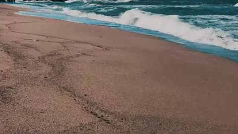 Relaxing Music | Sleeping, Meditation, Stress Relief | [1713] ⭐️