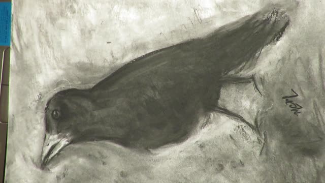 Charcoal Drawing: Jim Dine's Raven, Part 5