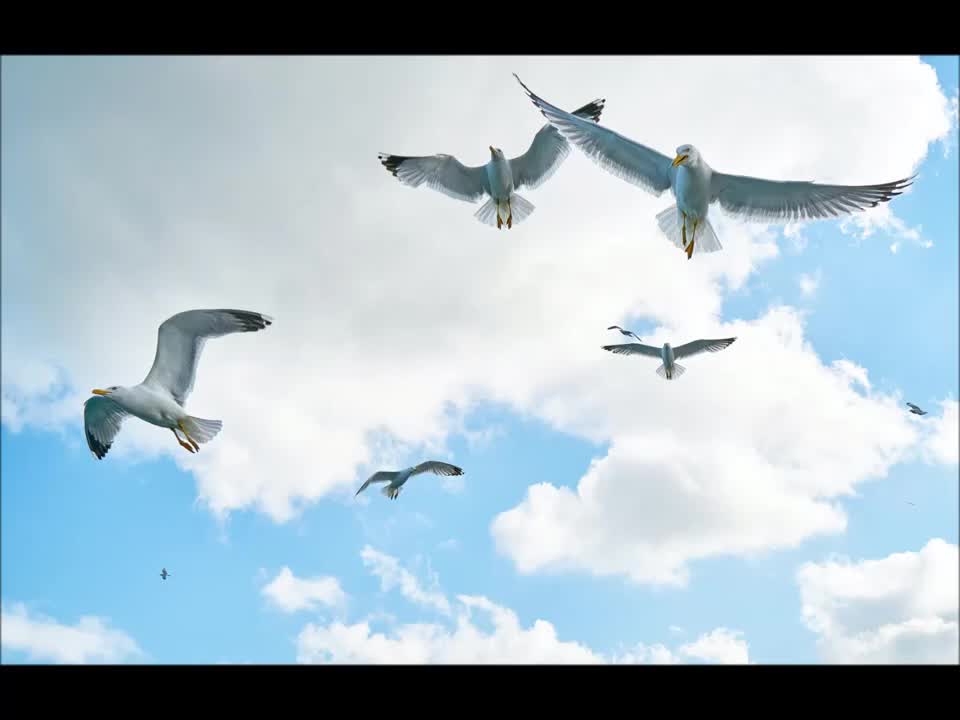 RELAXATION И МЕЧТЫ