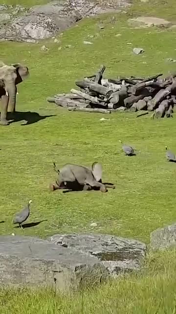 🤣🤣🤣❤❤❤