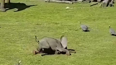 🤣🤣🤣❤❤❤