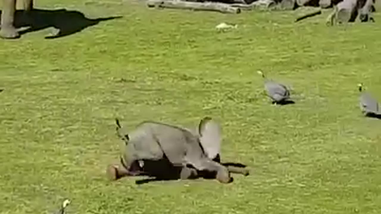 🤣🤣🤣❤❤❤