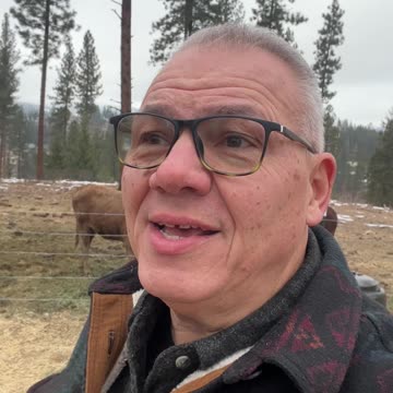 Good Morning from McKenzie Mountain 12-10-24