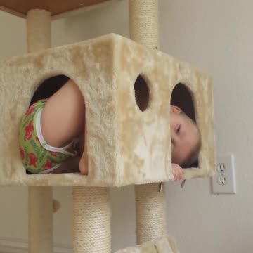 Toddler Boy Stuck In Cat Tower