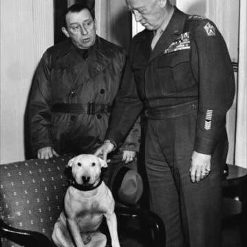 Feb 26, 2024 Gen. Patton quotation of the day #ww2 #war #leadership #creed