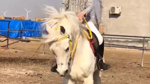Horse riding