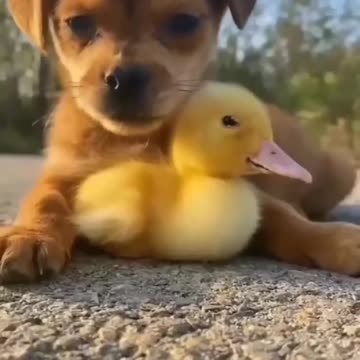 Best friends🥰tag your bestie😍👇