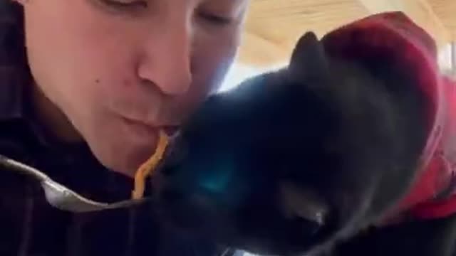 Eat with cat