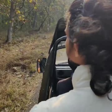 Jungle Safari🥦🥦 // wildlife photography 👌👌\\ peace of mind🤗🤗 // nature view status🥰🥰