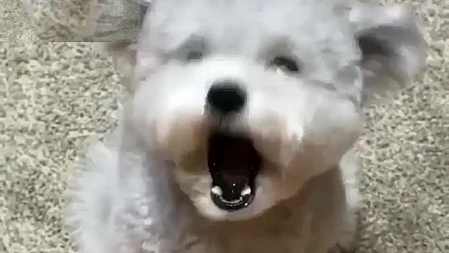 What do you call