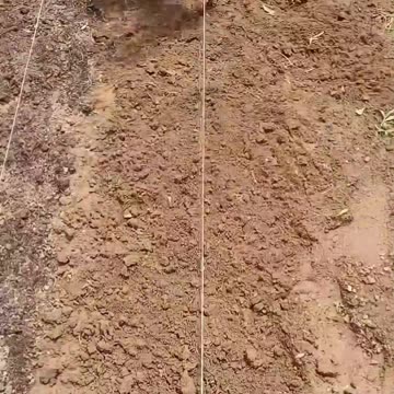 Soil Additives and a Weed Barrier