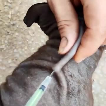 我相信了，“芯片”，如何到你身上？……嗯！原來如此，一針就可以！這麼容易！