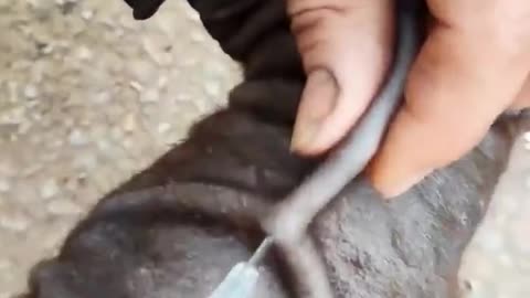 我相信了，“芯片”，如何到你身上？……嗯！原來如此，一針就可以！這麼容易！