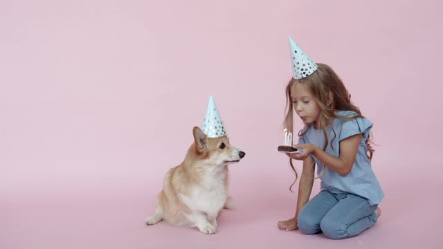 Birthday dog best video happy birthday