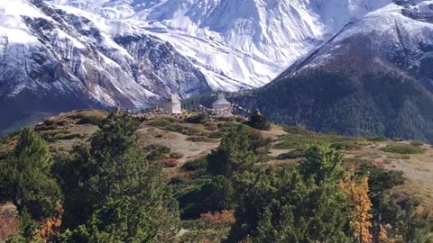 Welcome to Treks Advisor - Your Gateway to Luxury Trekking and Touring in Nepal! 🏔️✨
