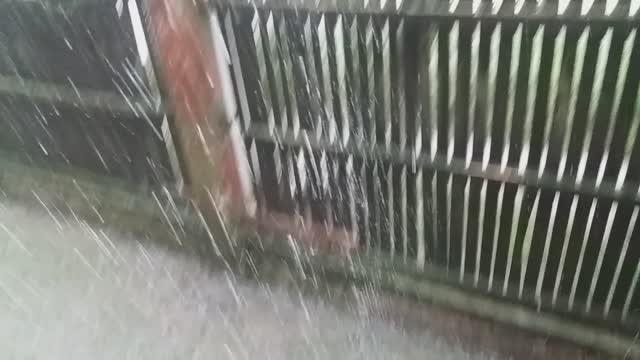 Beatiful rain