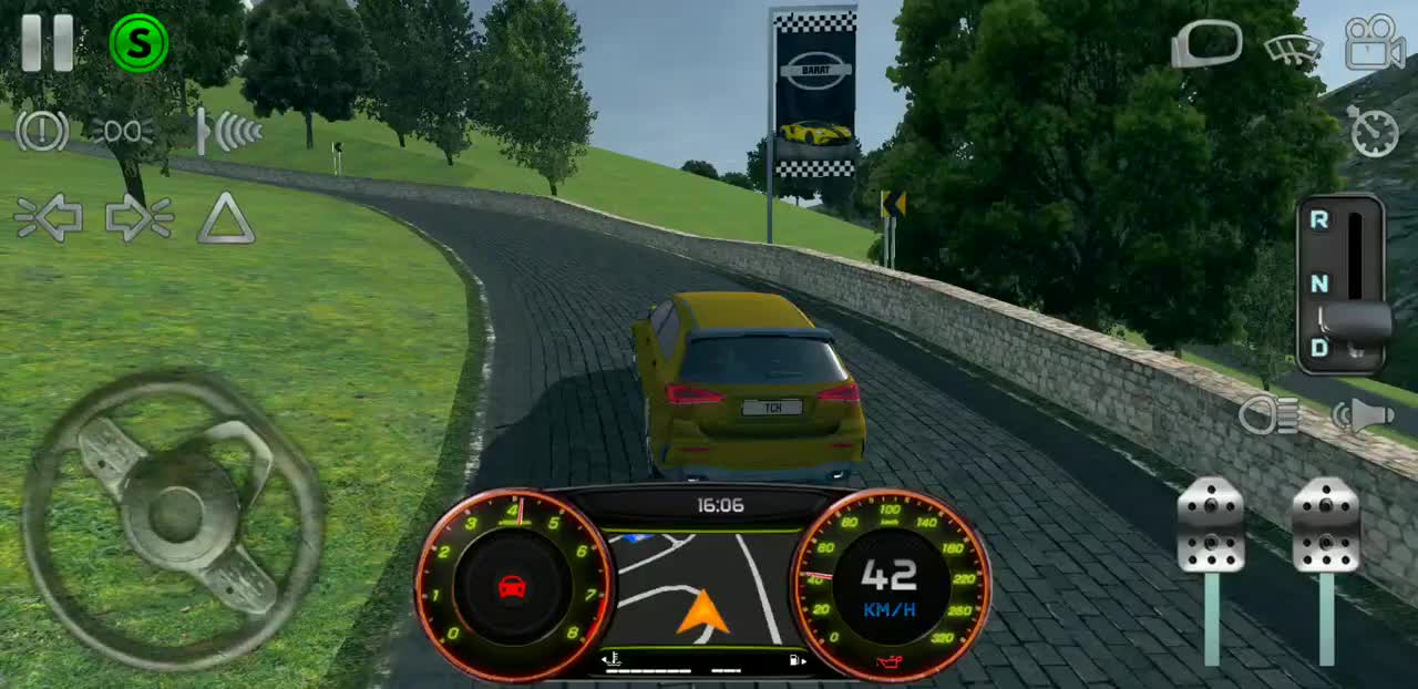Real driving sim