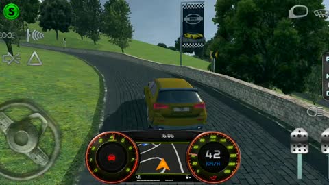 Real driving sim