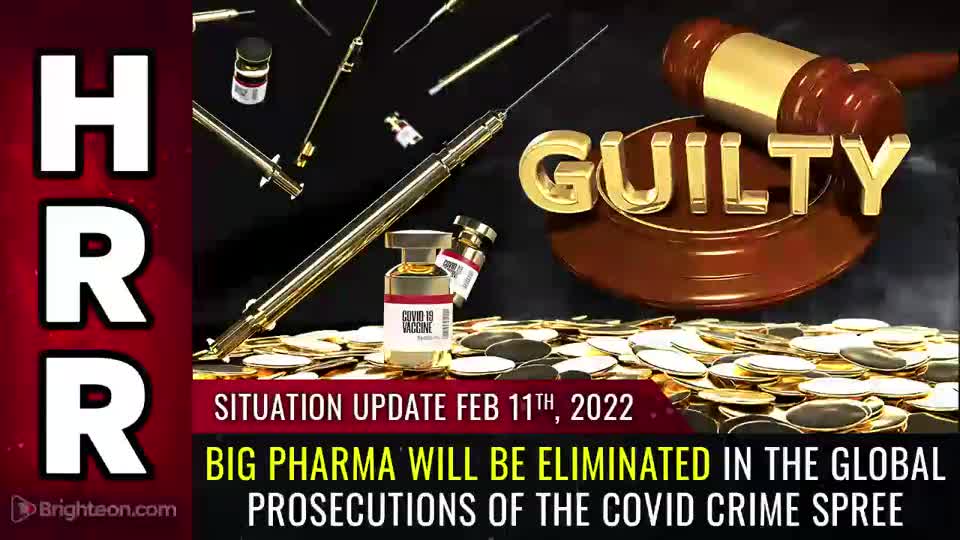 02-11-22 S.U. - Big Pharma Will Be ELIMINATED In The Global Prosecutions of the COVID CRIME SPREE