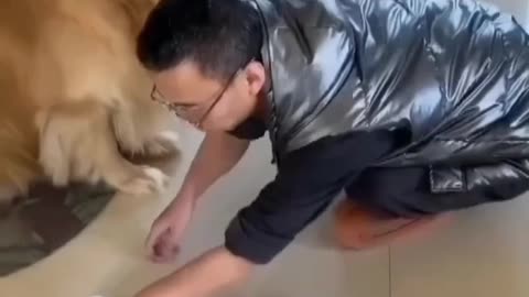 Smart Dog