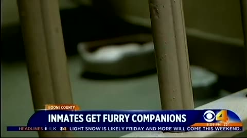 February 11, 2016 - Indiana Inmates Get Furry Companions