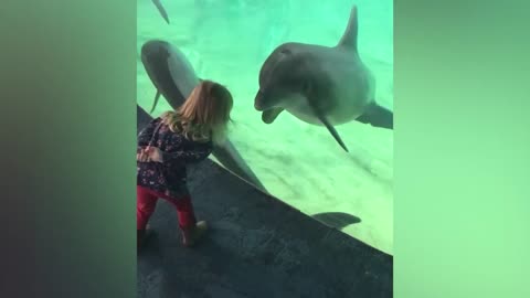 Little daughters getting scared of animals, how cute is that?