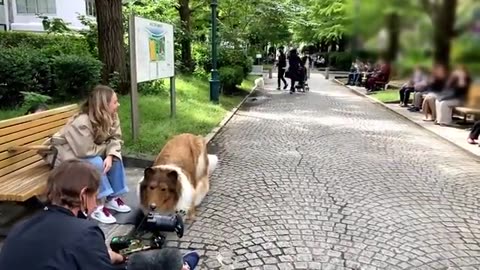 A Japanese Man Turn To Be Human Dog