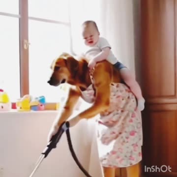 Viral🔥 funny😝 video