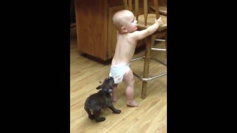 dog trying to knock the baby down