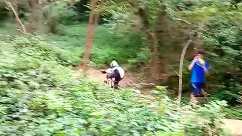 Bike frontflip into brambles