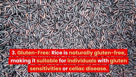 rice ingredients and pros and cons