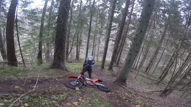 Runnin' Wild /enduro trail riding / Beta RR250 2T chasing Beta RR 390 4T