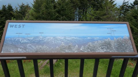 Walk To Top Of Mt Mitchell North Carolina