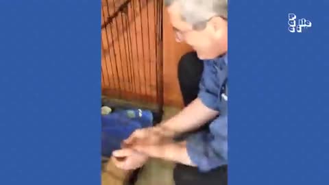 20 Minutes of Adorable Kittens <3