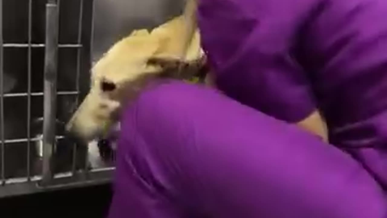This Dog Was Never Kissed In Her Entire Life, UNTIL TODAY!
