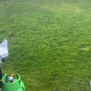 Doggo gets excited over piece of paper