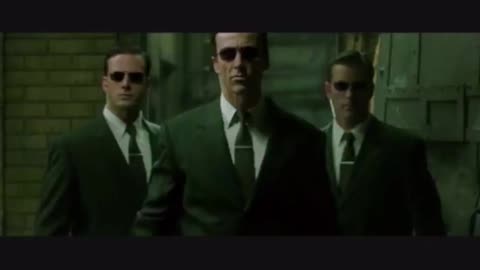 RACCOONING RACCOON - O CAMINHO ATÉ A RED PILL