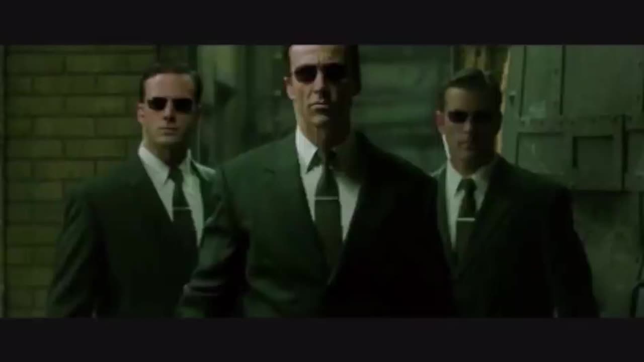 RACCOONING RACCOON - O CAMINHO ATÉ A RED PILL