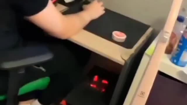 cat knows what to do